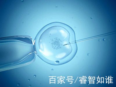 着床前診断 PGT